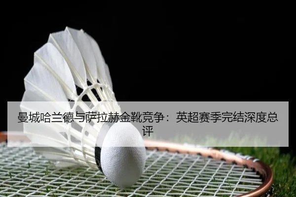 man-cheng-ha-lan-de-yu-sa-la-he-jin-xue-jing-zheng-ying-chao-sai-ji-wan-jie-shen-du-zong-ping-2-381.jpg