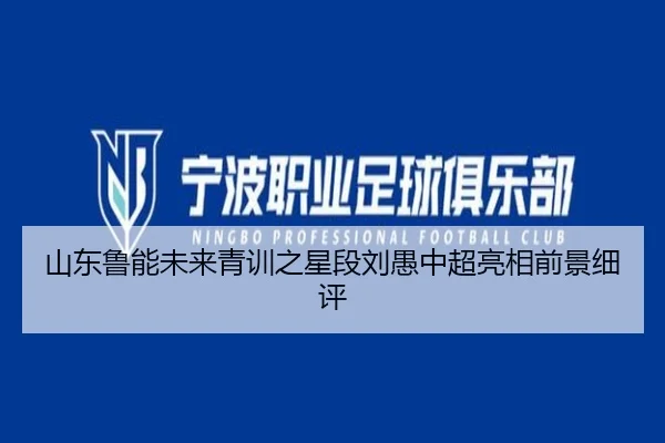 shan-dong-lu-neng-wei-lai-qing-xun-zhi-xing-duan-liu-yu-zhong-chao-liang-xiang-qian-jing-xi-ping-2-127.jpg